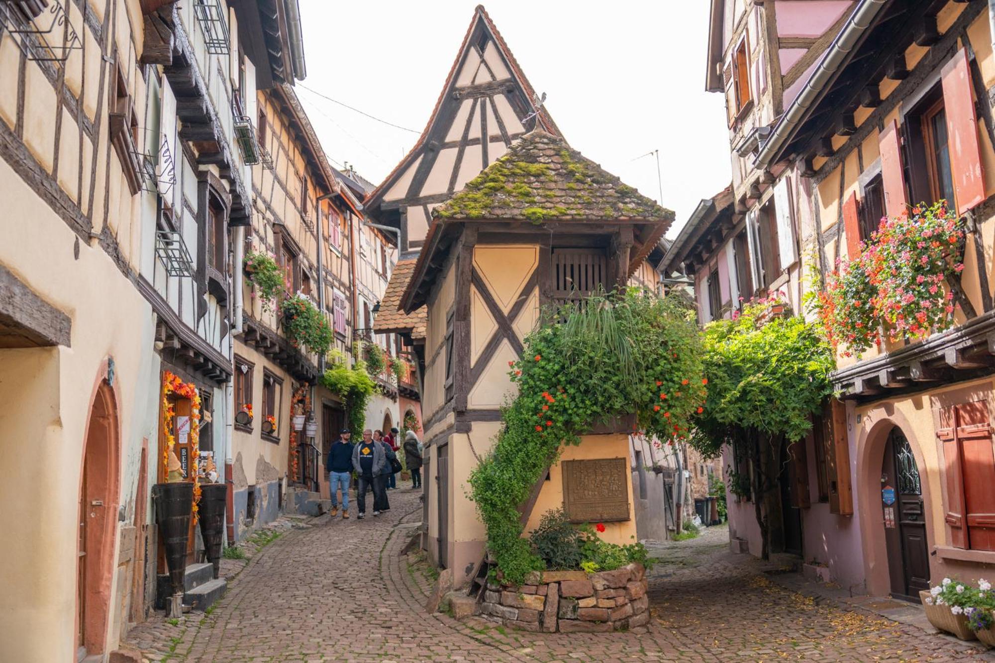 Gite La Grange Eguisheim Eksteriør bilde